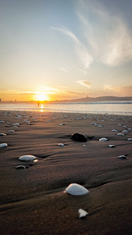 Wide view of the coastline at dusk — photo by Elias Lamantia on Pexels