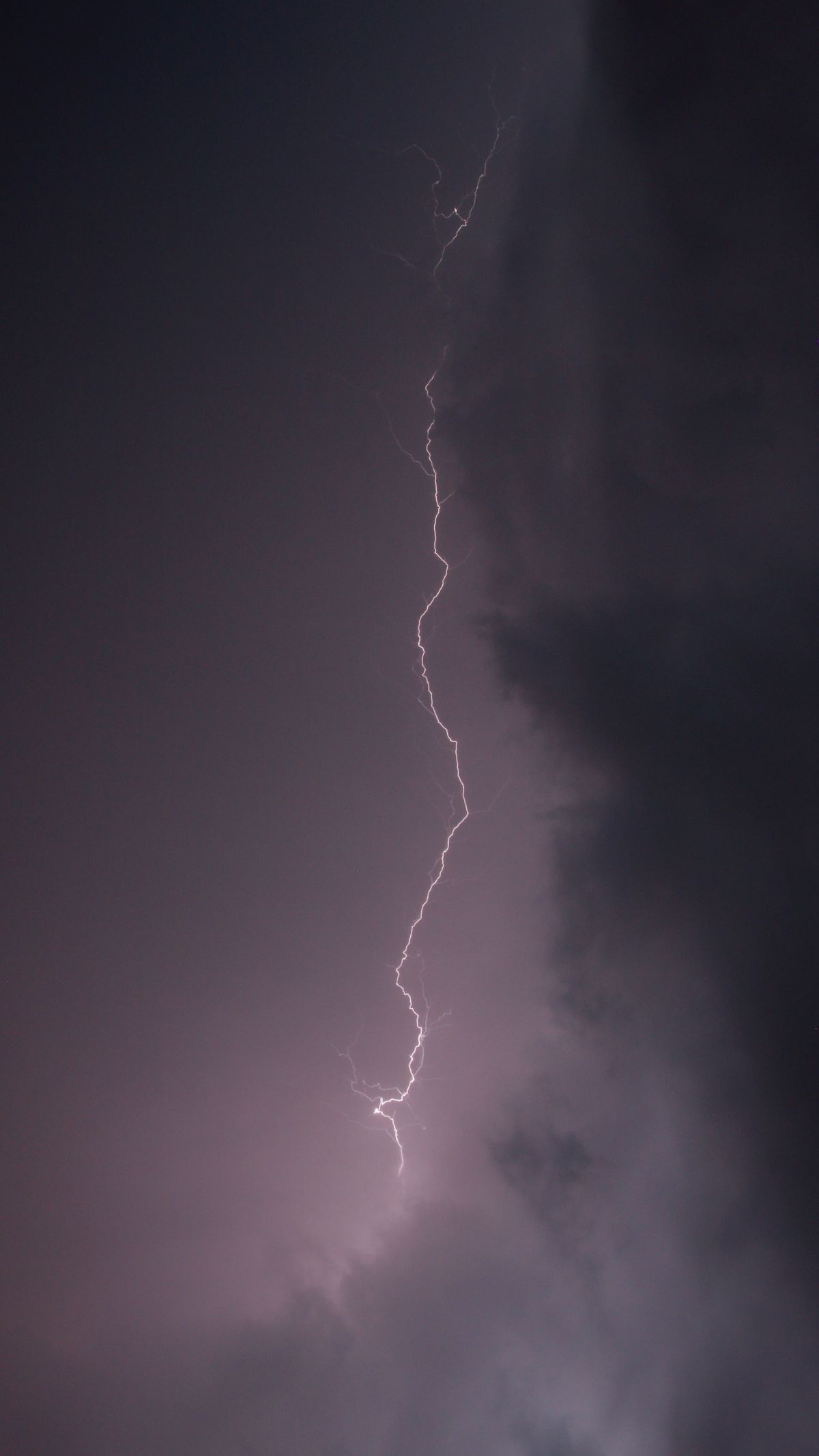 Lightning Strike on Dark Sky · Free Stock Photo