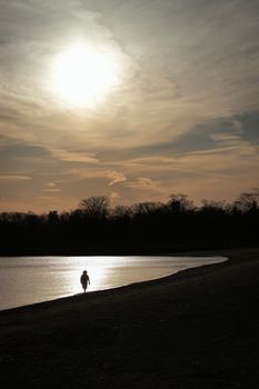 A lone figure walks along the serene shoreline at Cove Island Park, Stamford, during a golden sunset.