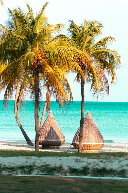 Varadero beach with palm trees