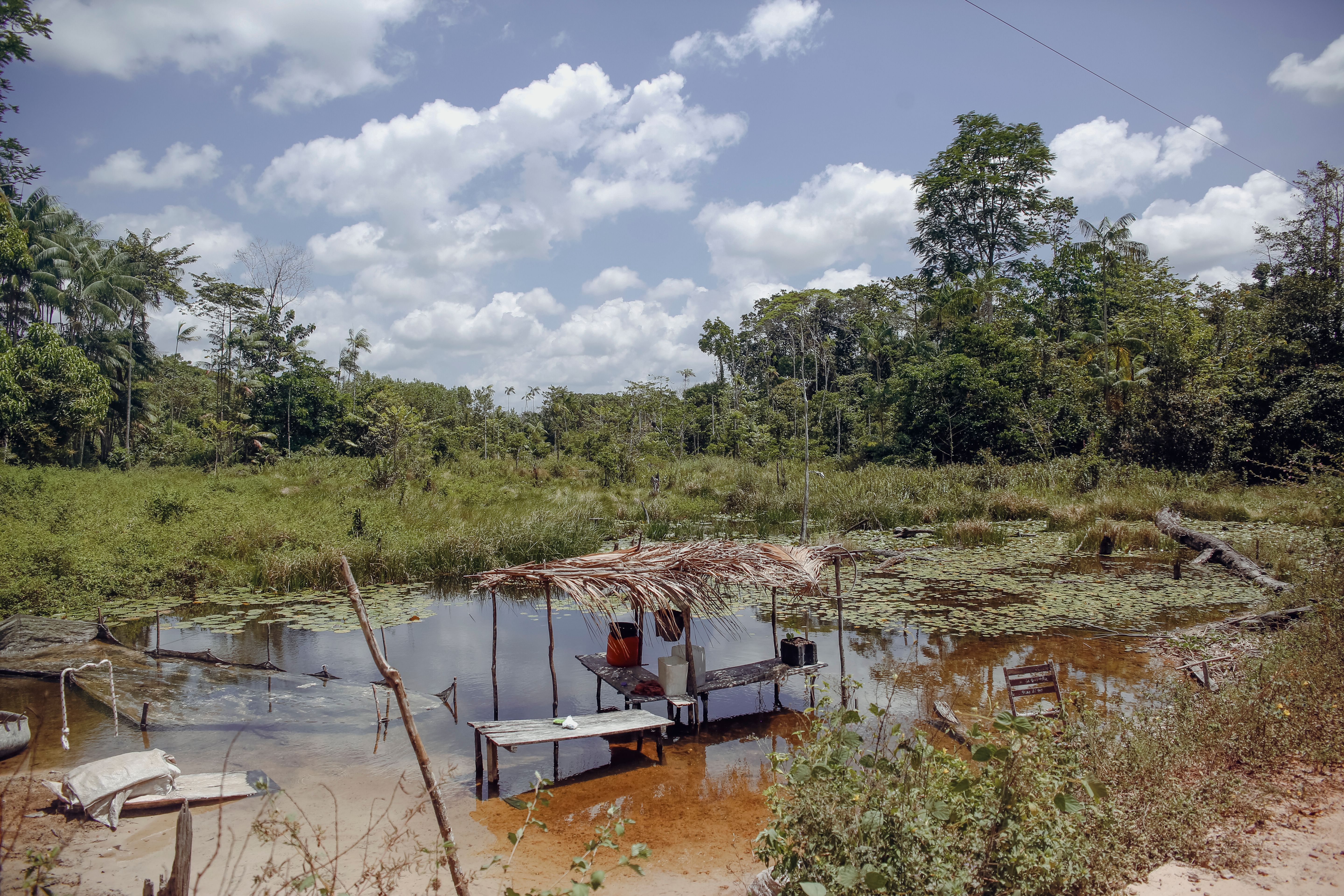 rustic river scene in paragominas brazil