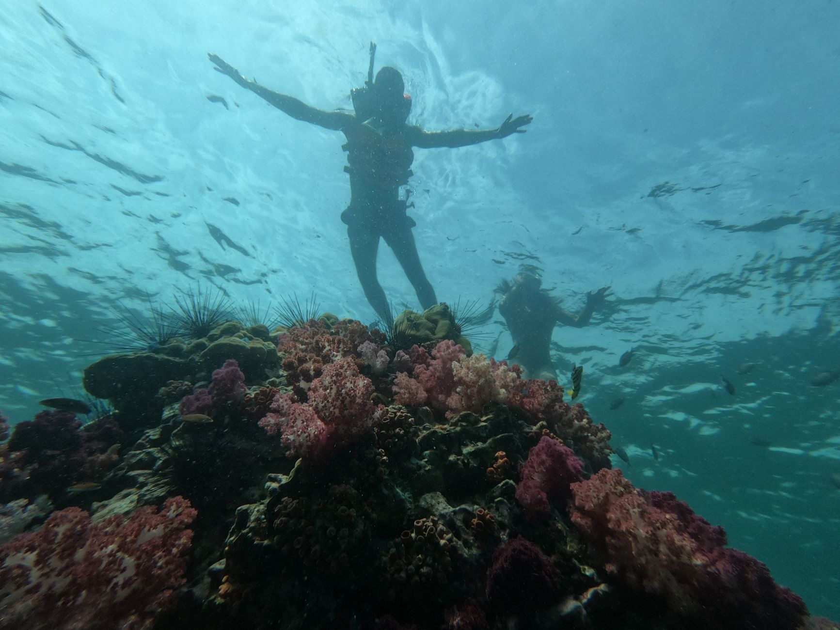 Underwater Sea Scooters snorkeling equipment review