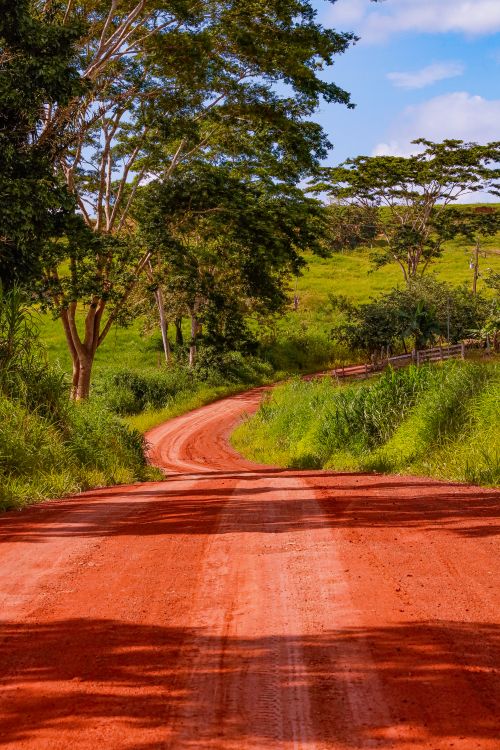 Free Winding red dirt road amidst lush green forest, under a clear blue sky. Stock Photo