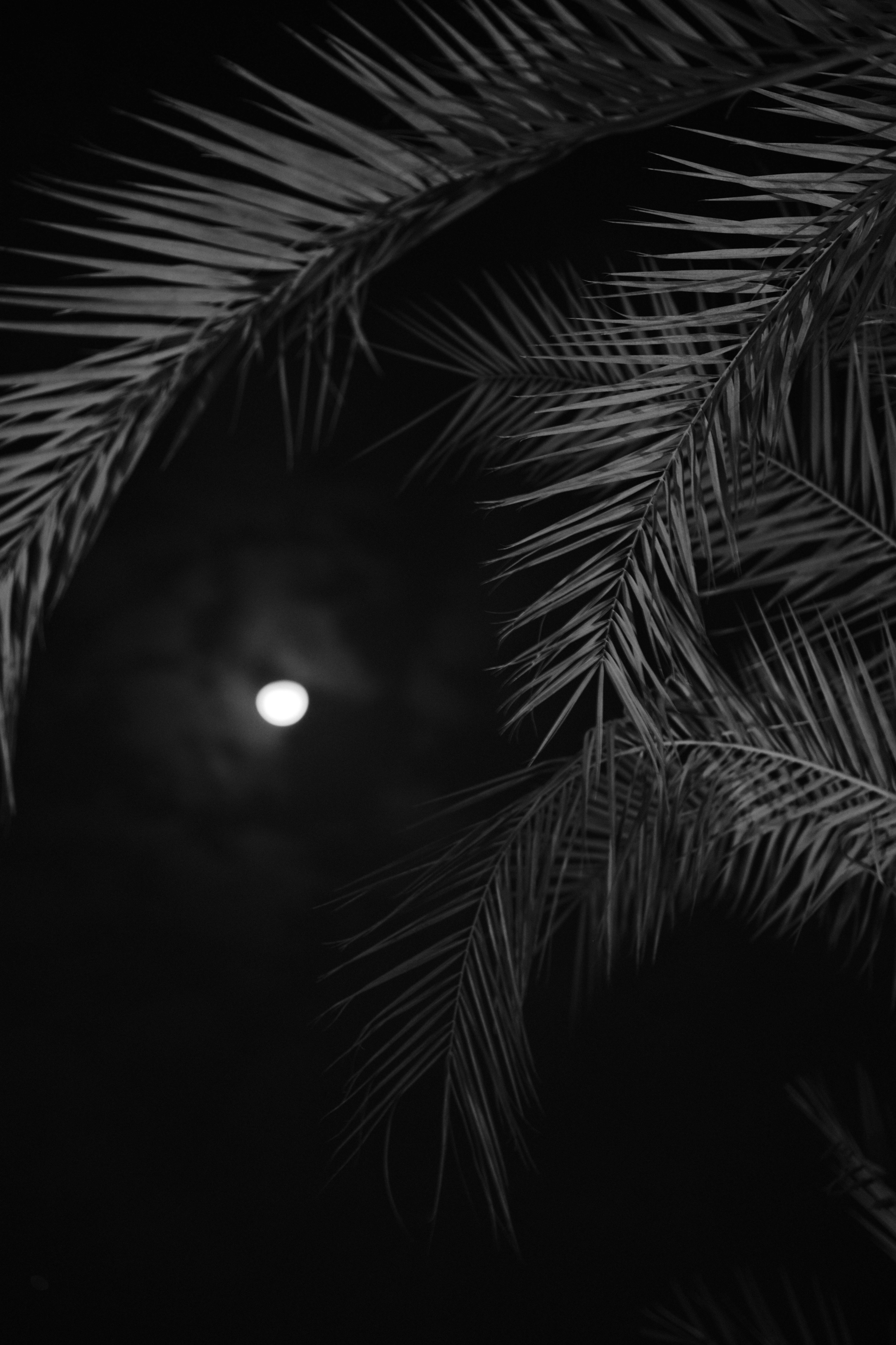 Gratis Immagine gratuita di ambientale, arredamento, artistico Foto a disposizione