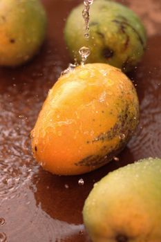 Mango Peach Coconut Water With Mango Peach