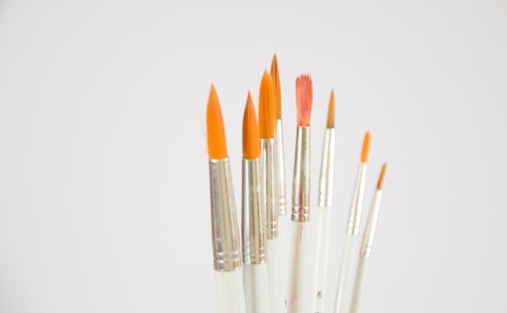 Close-up of assorted paintbrushes with orange bristles on a white background.