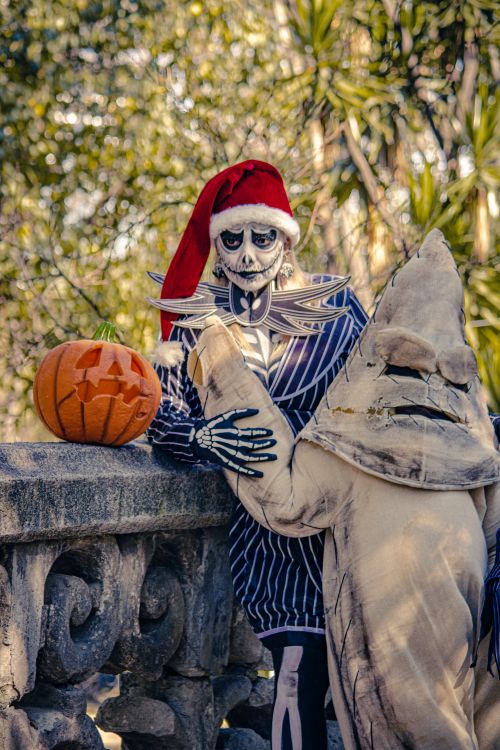 Free Two adults in Halloween costumes pose with a carved pumpkin in a park. Stock Photo