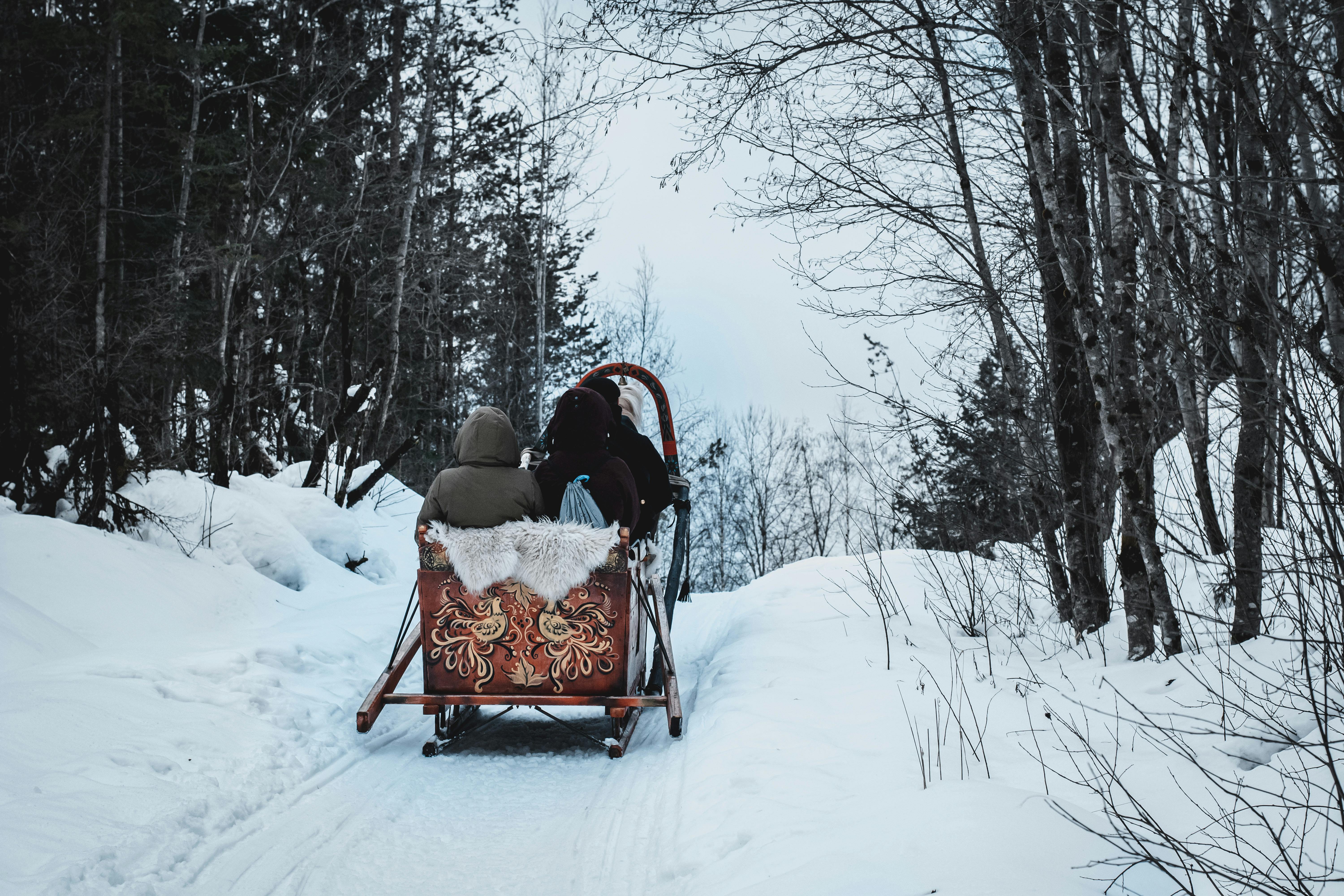 Two people enjoy a horse-drawn sleigh ride through a snowy forest in winter.