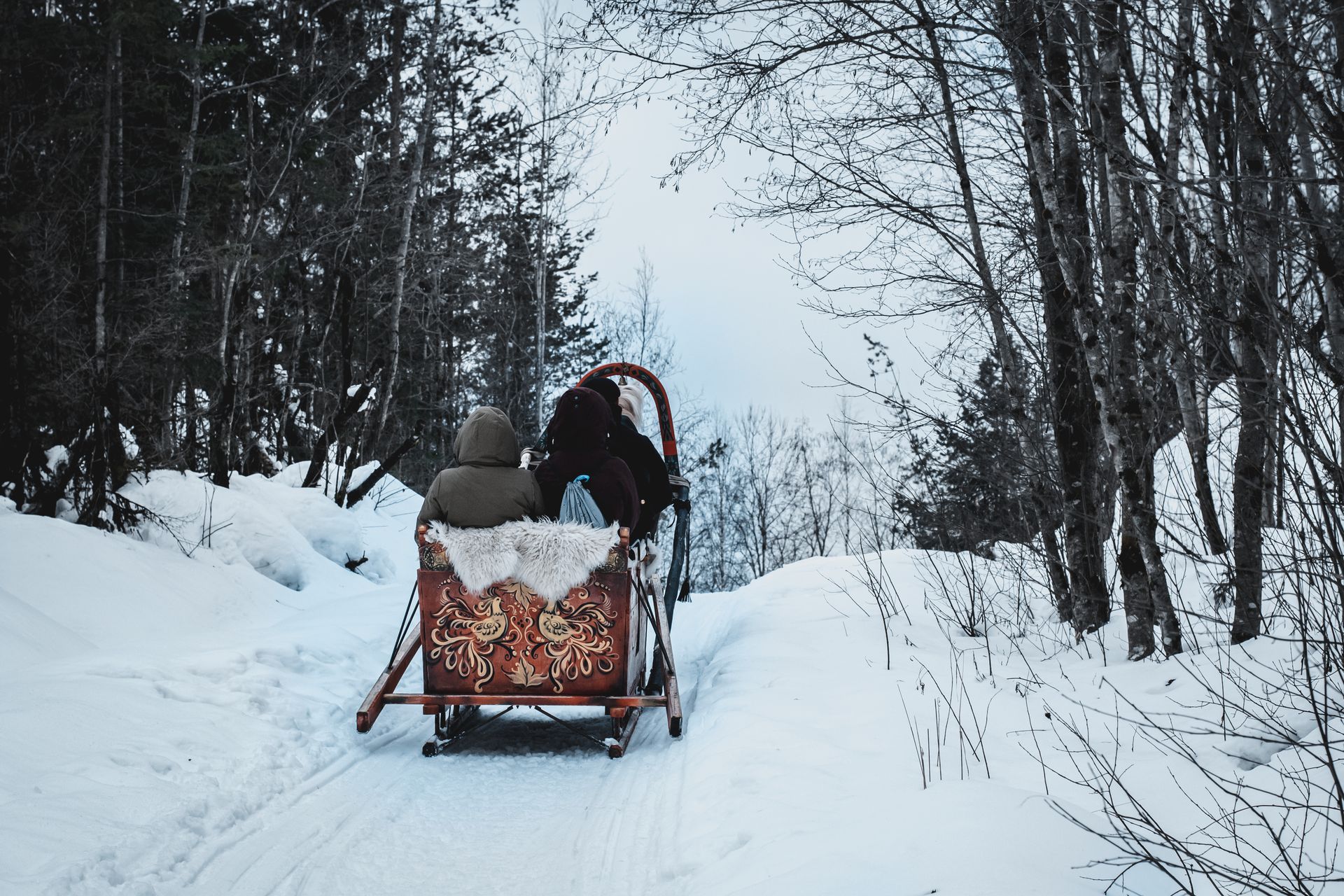Two people enjoy a horse-drawn sleigh ride through a snowy forest in winter.