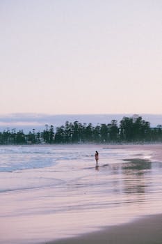 A peaceful scene of a lone person walking along the beach at sunset with gentle waves and distant trees.