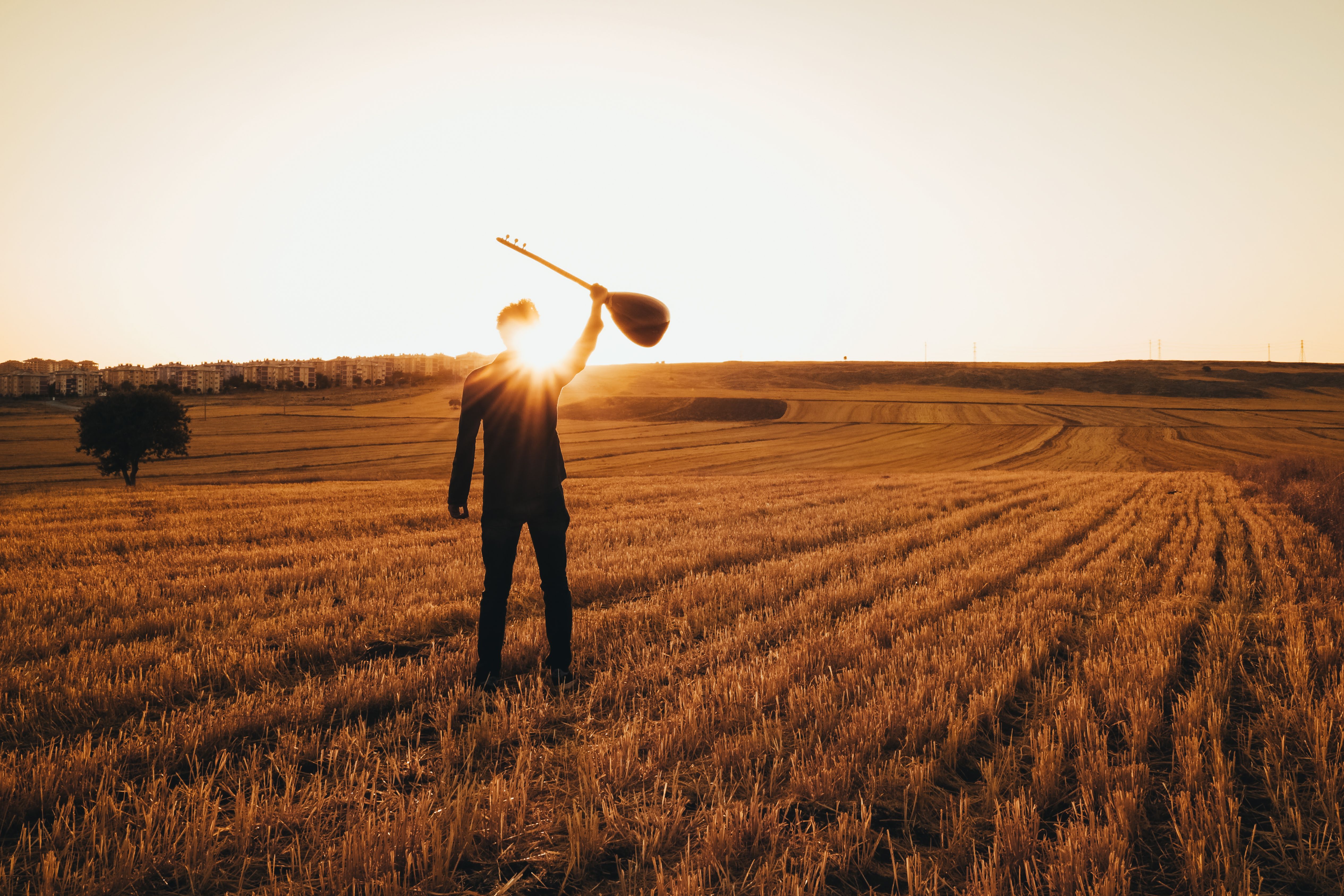15. Gore's Golden Guitar: A Tribute to Country Music