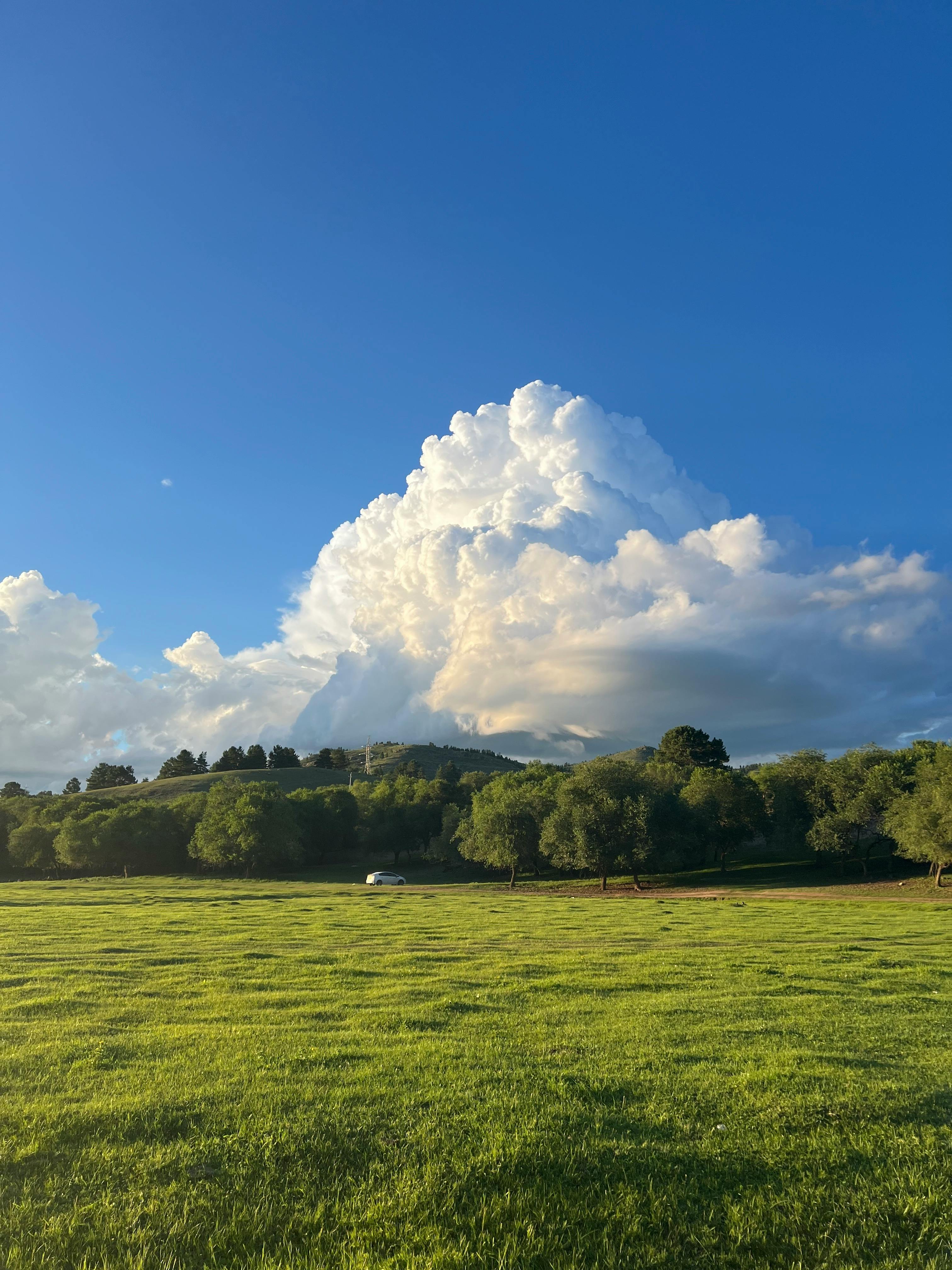Expansive green meadow under a dramatic cumulonimbus cloud in daylight.