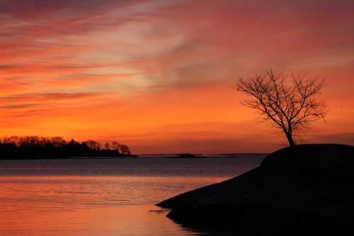 Free A striking sunrise over Cove Island Park in Stamford, Connecticut with vibrant orange hues. Stock Photo