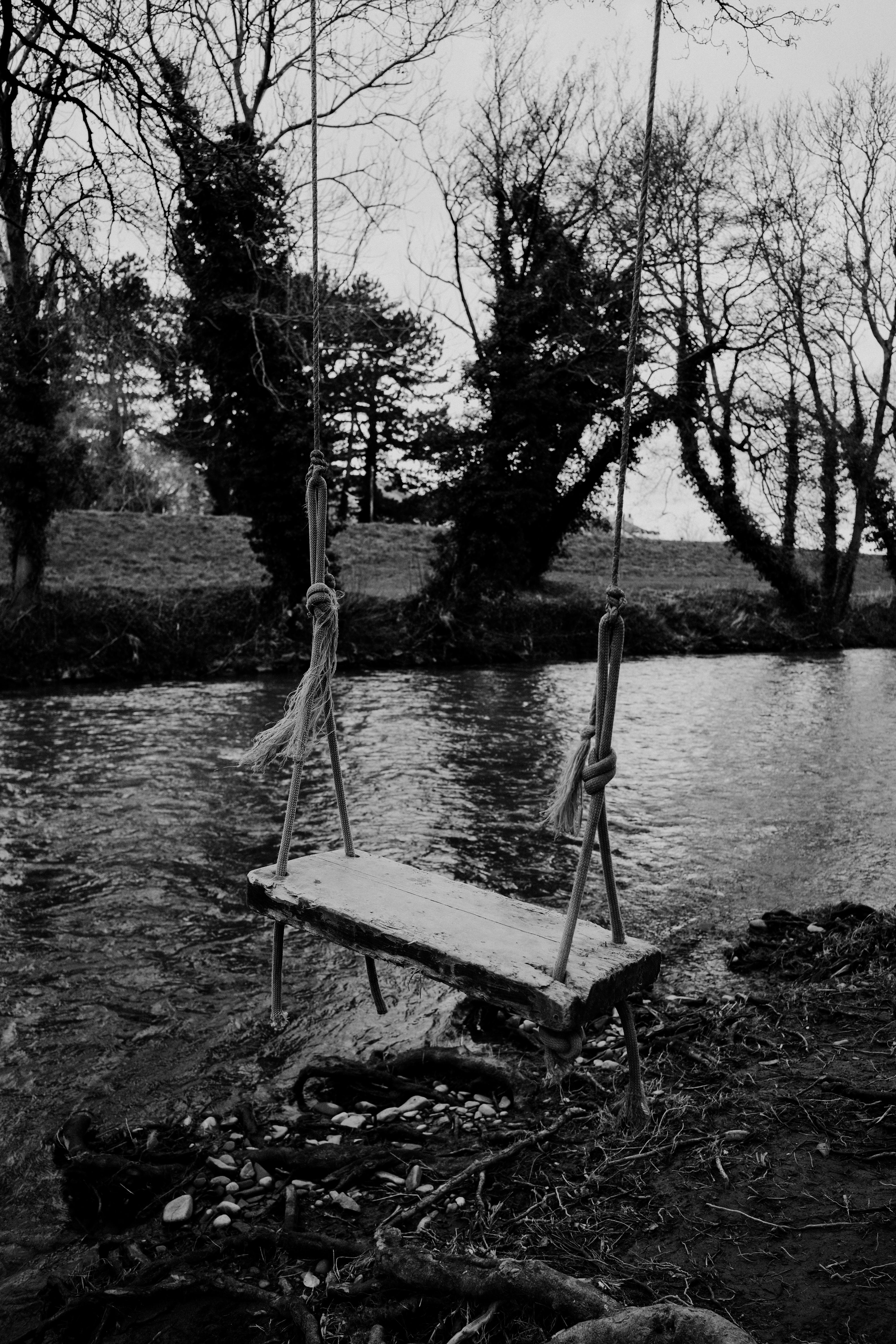 A serene black and white photo of a rustic swing by a tranquil river in the woods.
