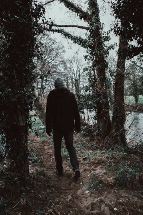Free A person walks through a serene forest trail by the riverside, embracing nature's calmness. Stock Photo