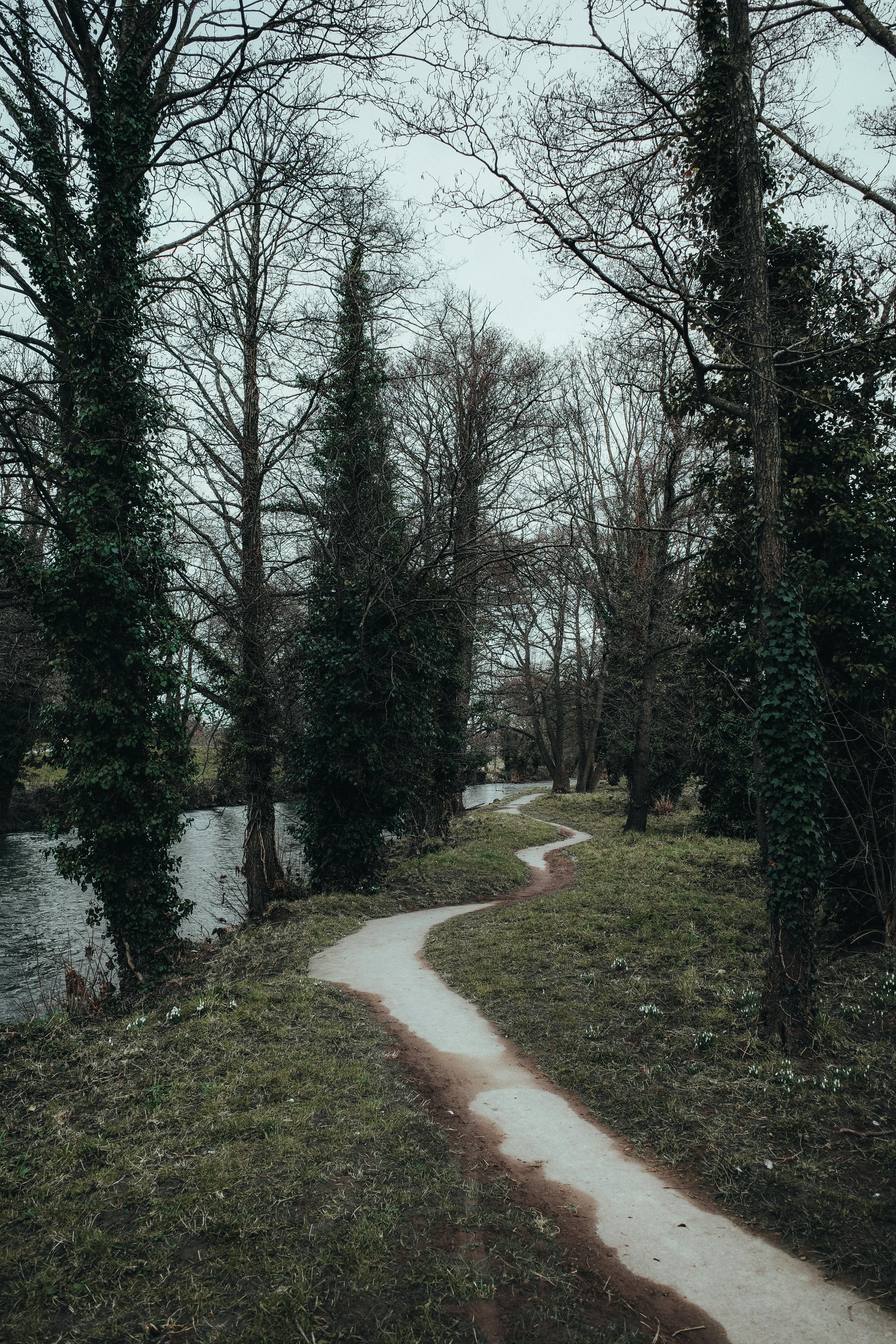 Winding forest path beside a calm river under a cloudy sky, perfect for nature walks.