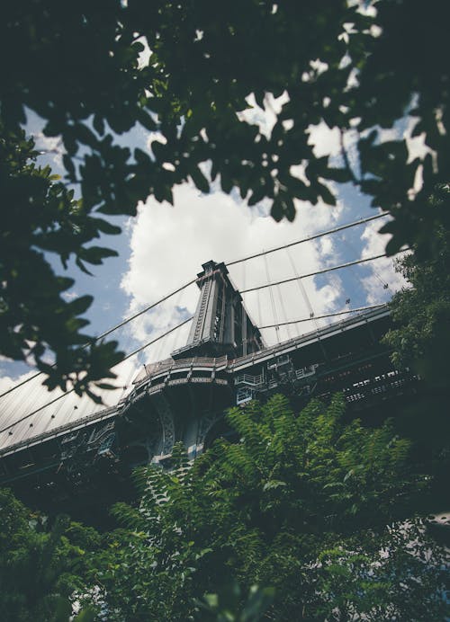 Low-angle Photography of Suspension Bridge