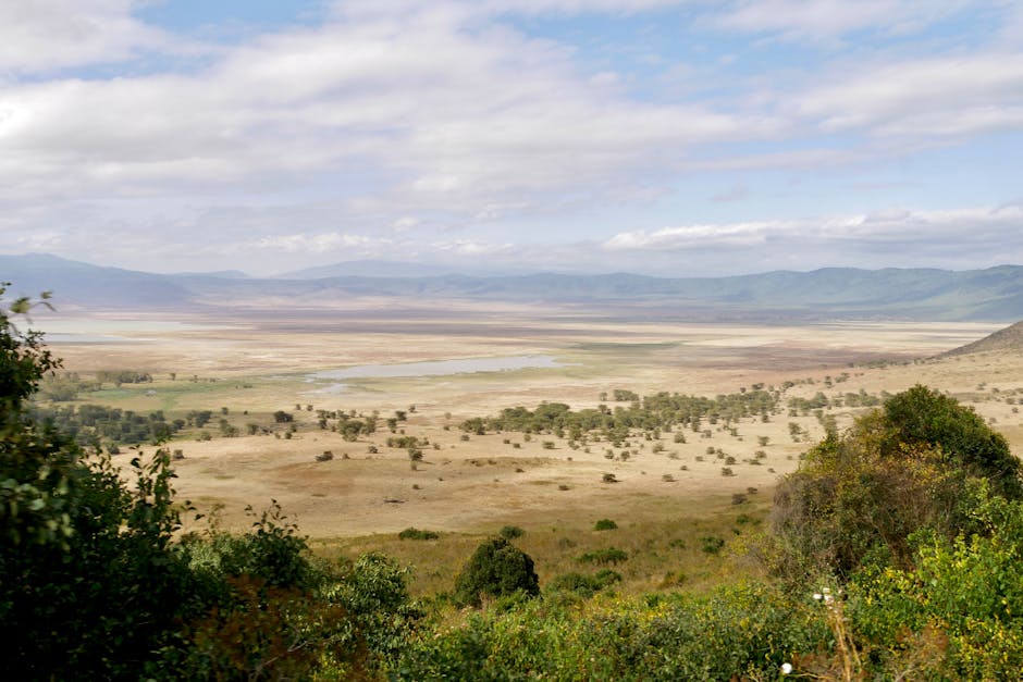 Otra foto de Cráter de Ngorongoro