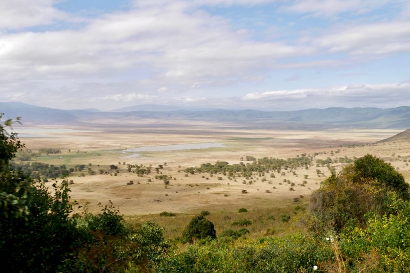 Panoramic view of Ngorongoro Crater landscape