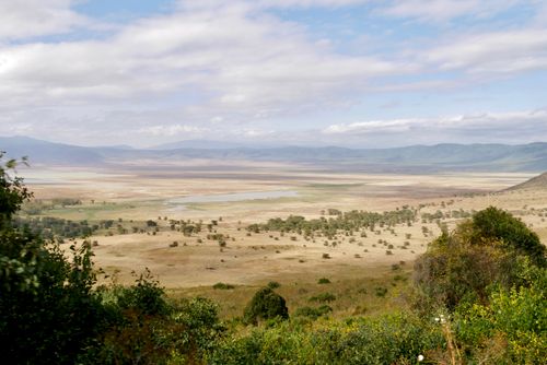 Free A stunning panoramic view of Ngorongoro Crater in Tanzania, showcasing its vast savannah and natural beauty. Stock Photo