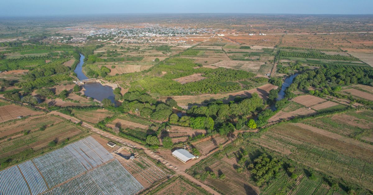 Photo of Somalia