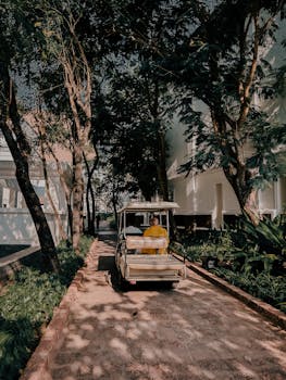 A serene shot of an electric golf cart on a tree-lined path in Panaji, India.