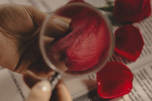 Detailed macro shot of red rose petals magnified with a glass, showing their texture.