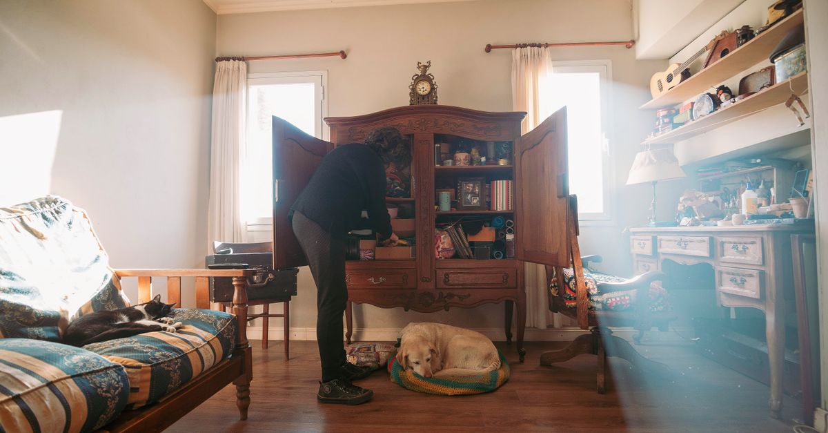 Essential Tips for Creating a Pet-Friendly Home
