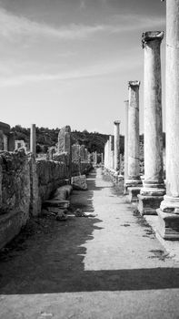 Black and white photograph of ancient Roman ruins with marble columns in perspective.