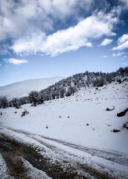 A serene snowy landscape with mountains under a clear blue sky.