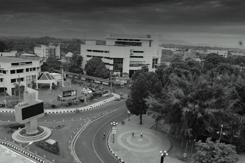 Foto d'estoc gratuïta de bancs, blanc i negre, centre de la ciutat