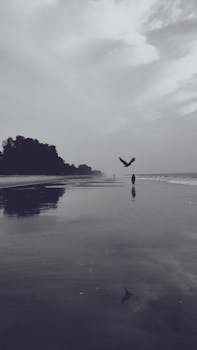 A serene and moody beach scene depicting a solitary figure and a bird in flight.