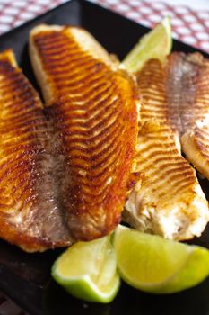 Tilapia Fish