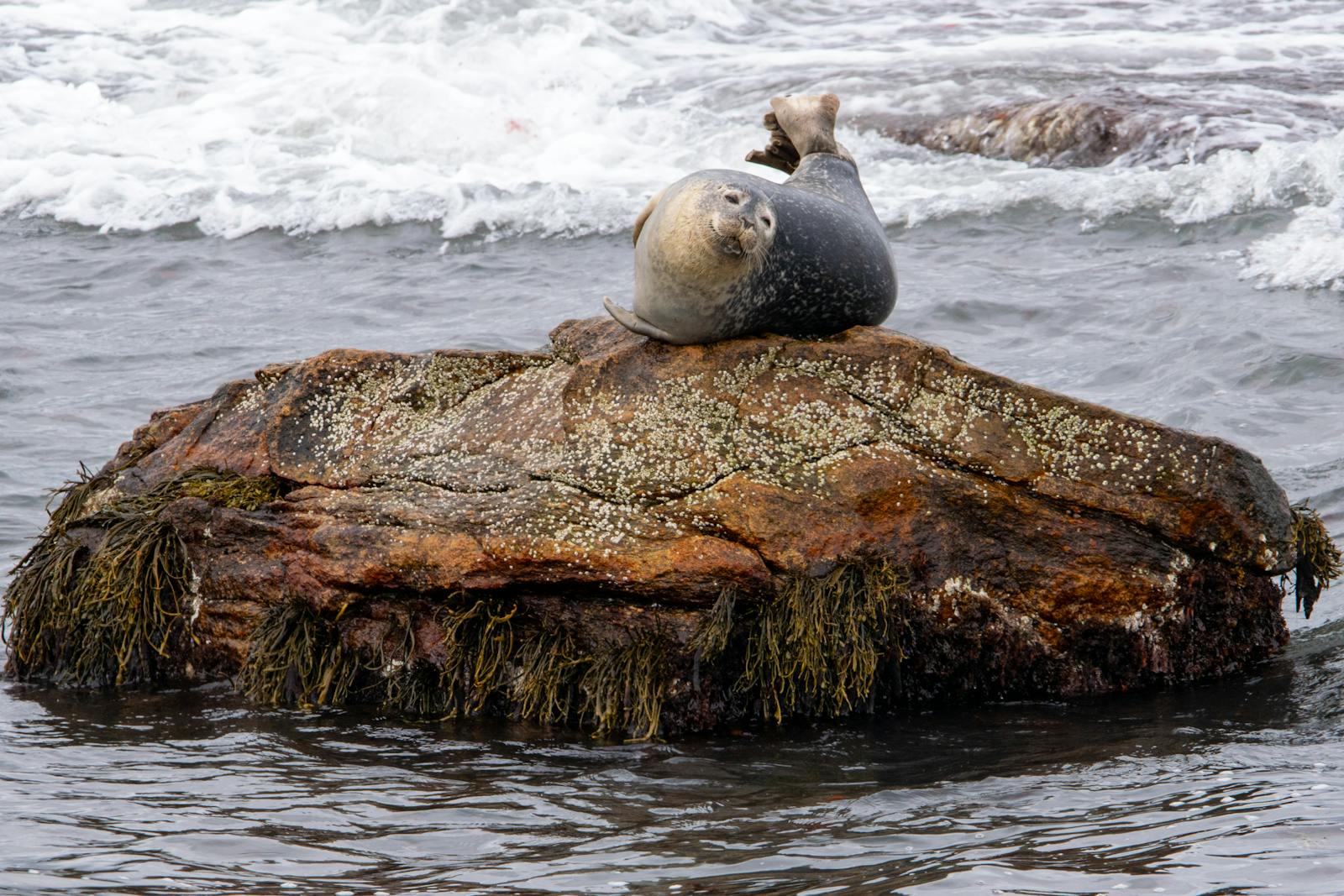 Animated Rock Photos, Download The BEST Free Animated Rock Stock Photos ...