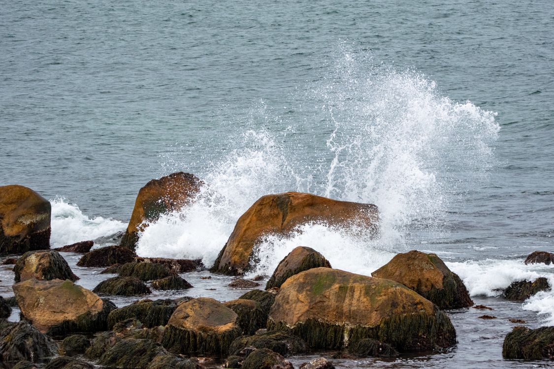 Rhode Island Rocks Waves Crashing on Rocky Shore in Rhode Island · Free Stock Photo