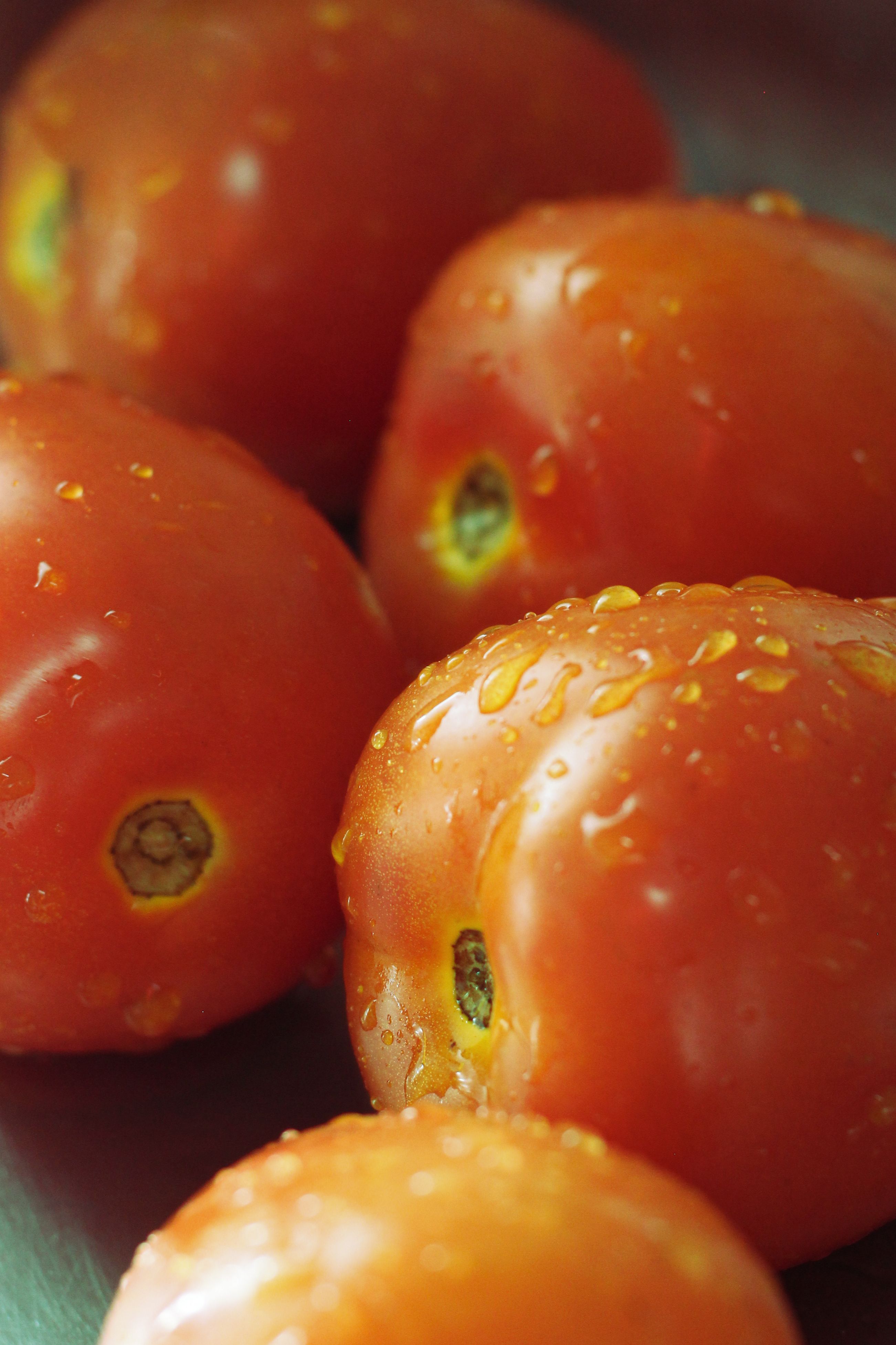 Close-up of Fresh Wet Tomatoes with Dew · Free Stock Photo