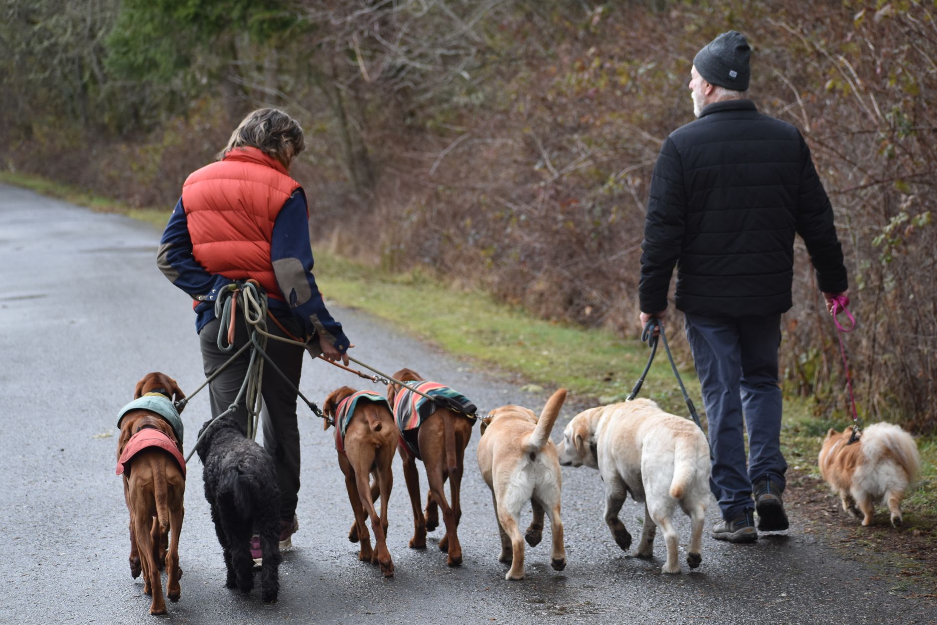 Information Gain: The Parallel Walking Strategy