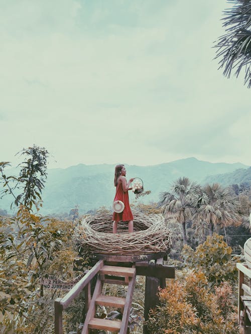 Woman in Red Dress Standing on Bird's Nest