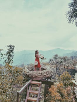 一名身穿红色连衣裙的女子，站在以风景优美的山为背景的大鸟巢里