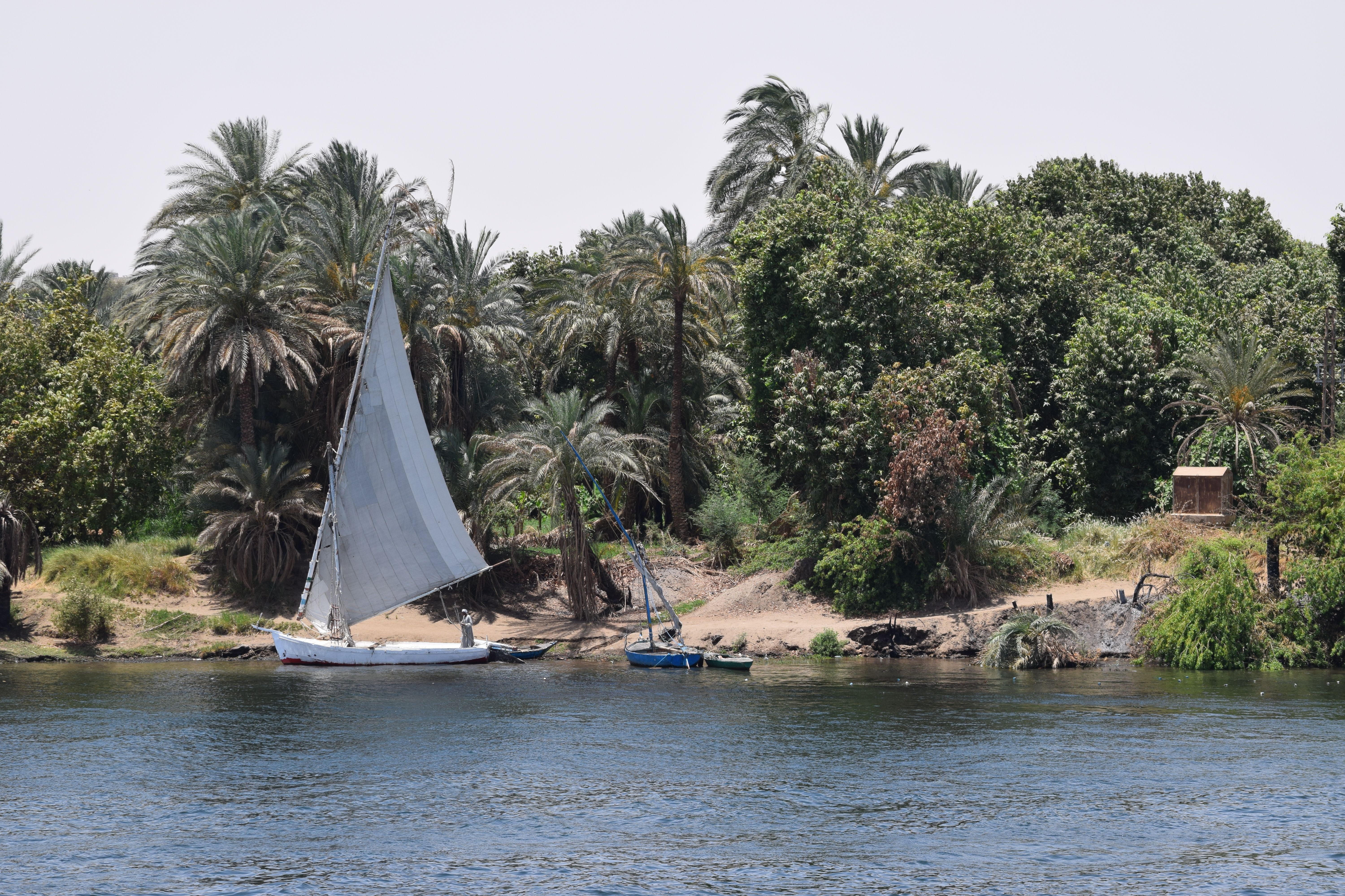 Traditional Sailboat on the Nile River · Free Stock Photo