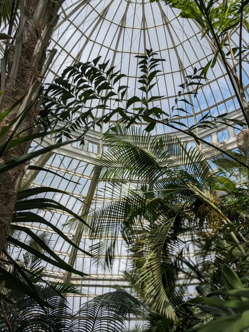 Warm Up Inside Garfield Park Conservatory indoor things to do in chicago