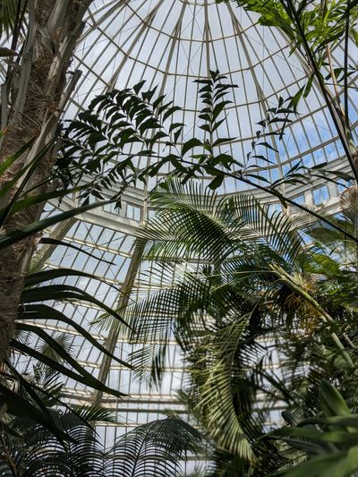 Glasshouse conservatory interior — Lee-Ann Turley on Pexels