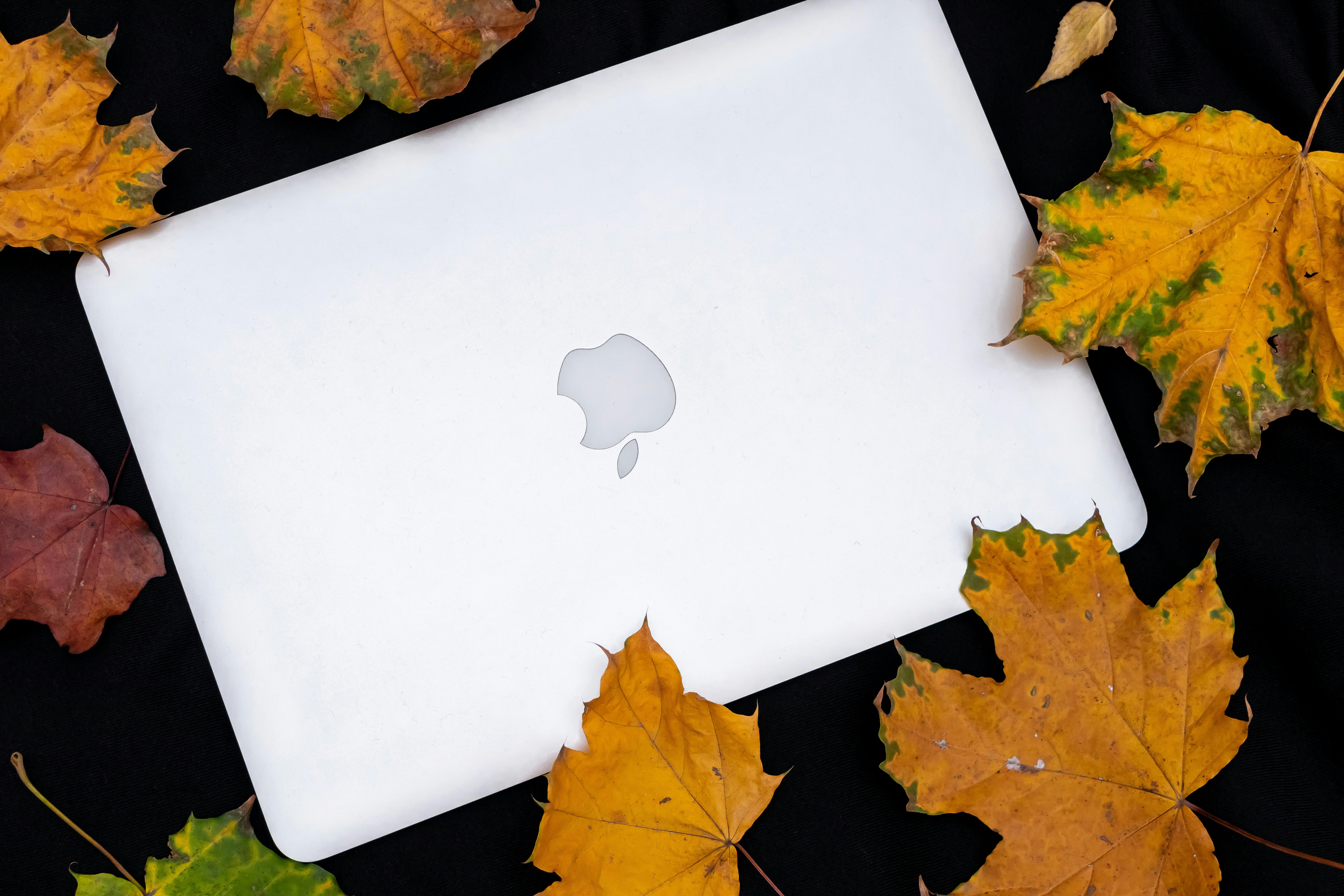 Maple For Mac Free Download