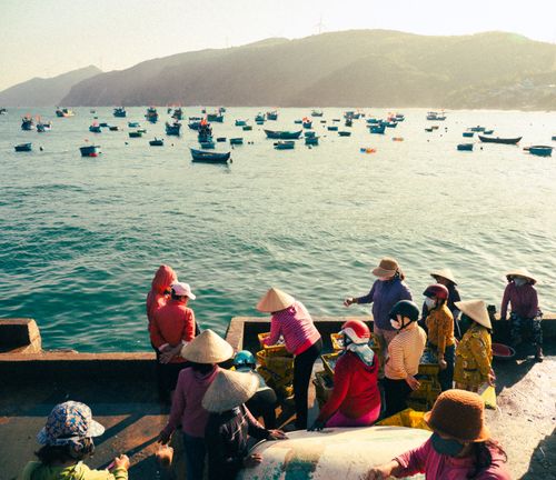 Free Women sorting fish by the harbor in Quy Nhơn, Vietnam, with fishing boats floating in the sunny sea. Stock Photo