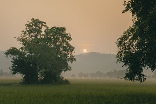 Free A tranquil sunrise over misty fields with trees, hills, and a vibrant sky creating a peaceful landscape. Stock Photo