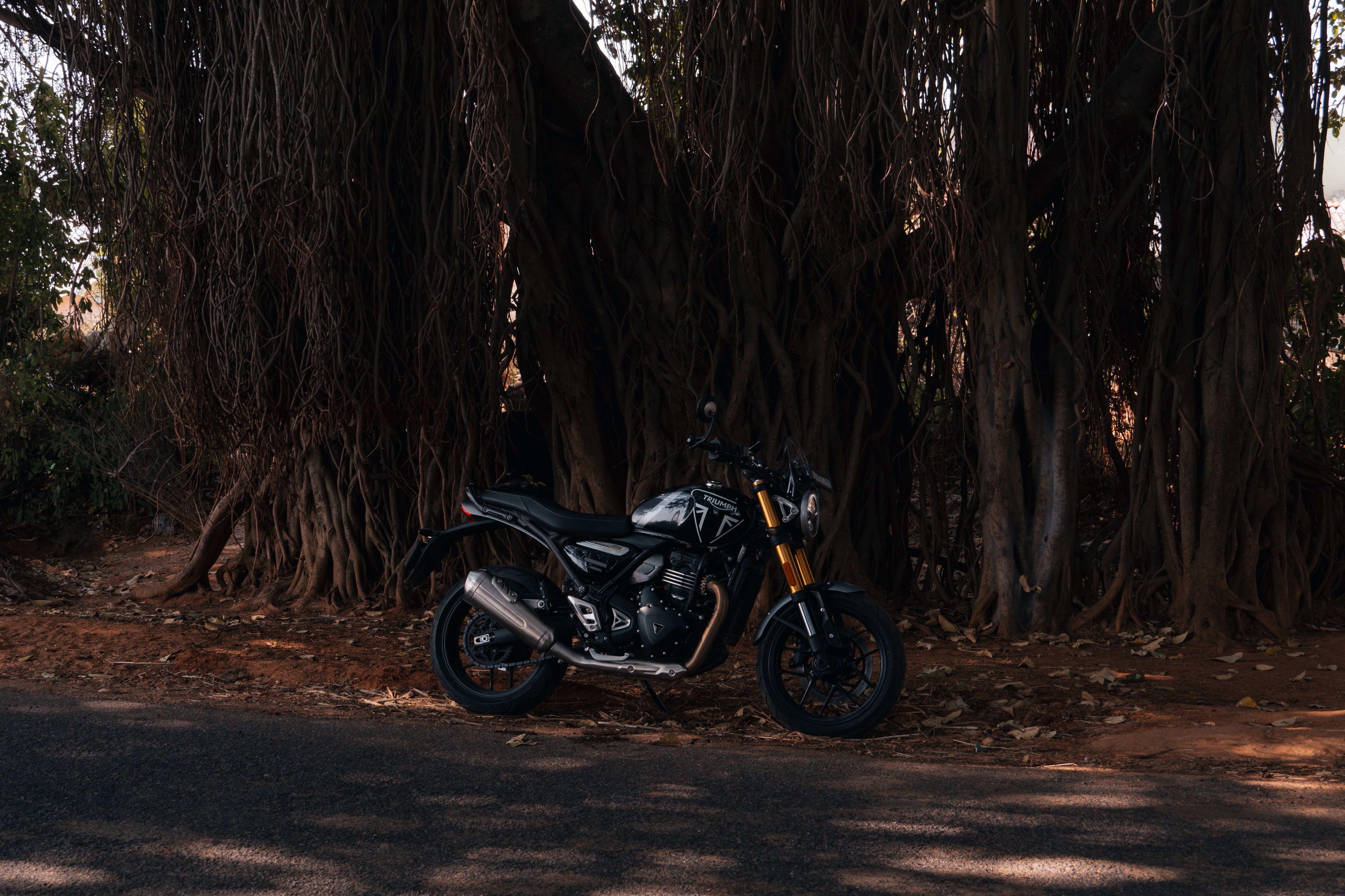 Black motorcycle parked under a banyan tree in Bengaluru, India on a quiet road.