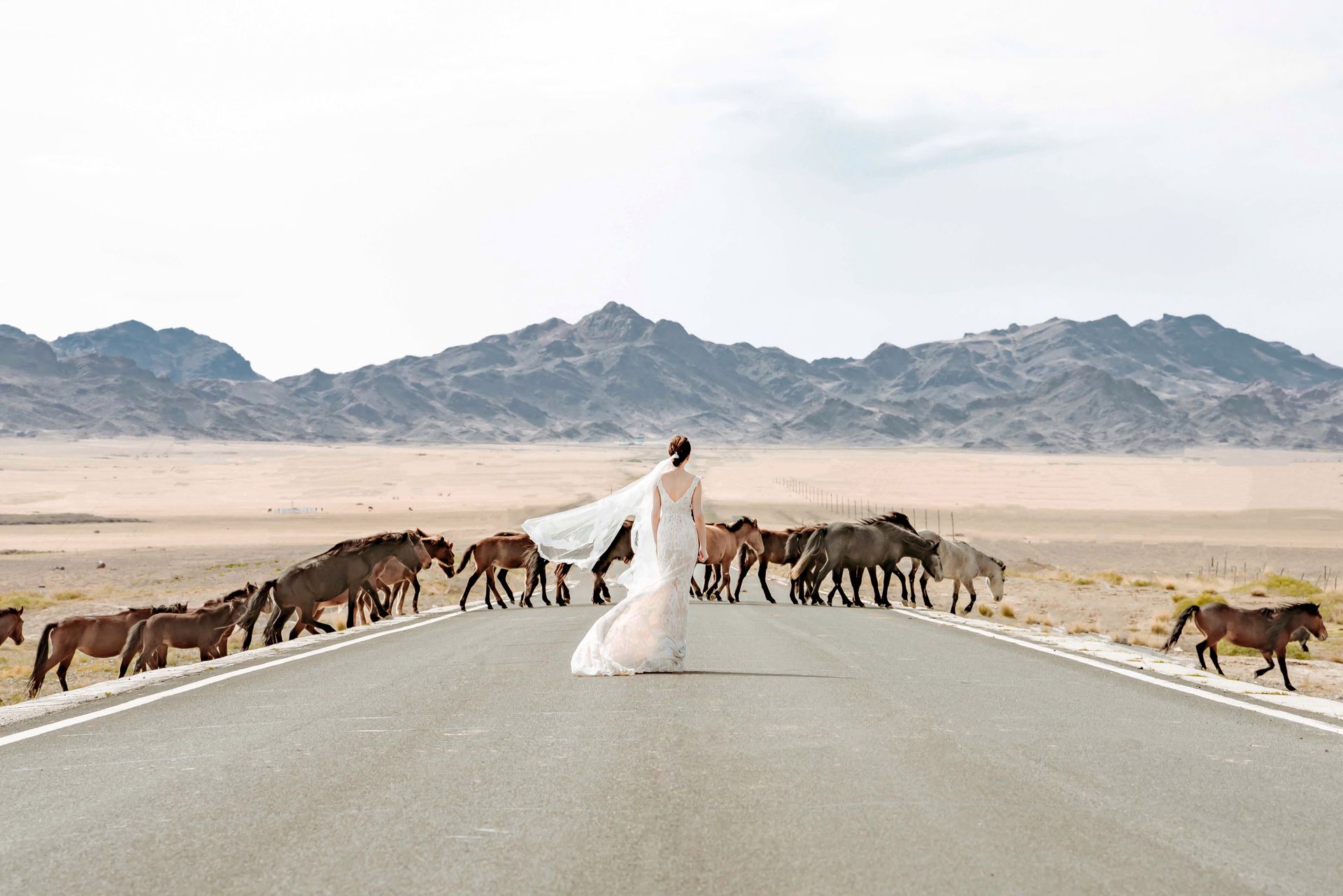 Woman In The Middle Of The Road With Horses Crossing