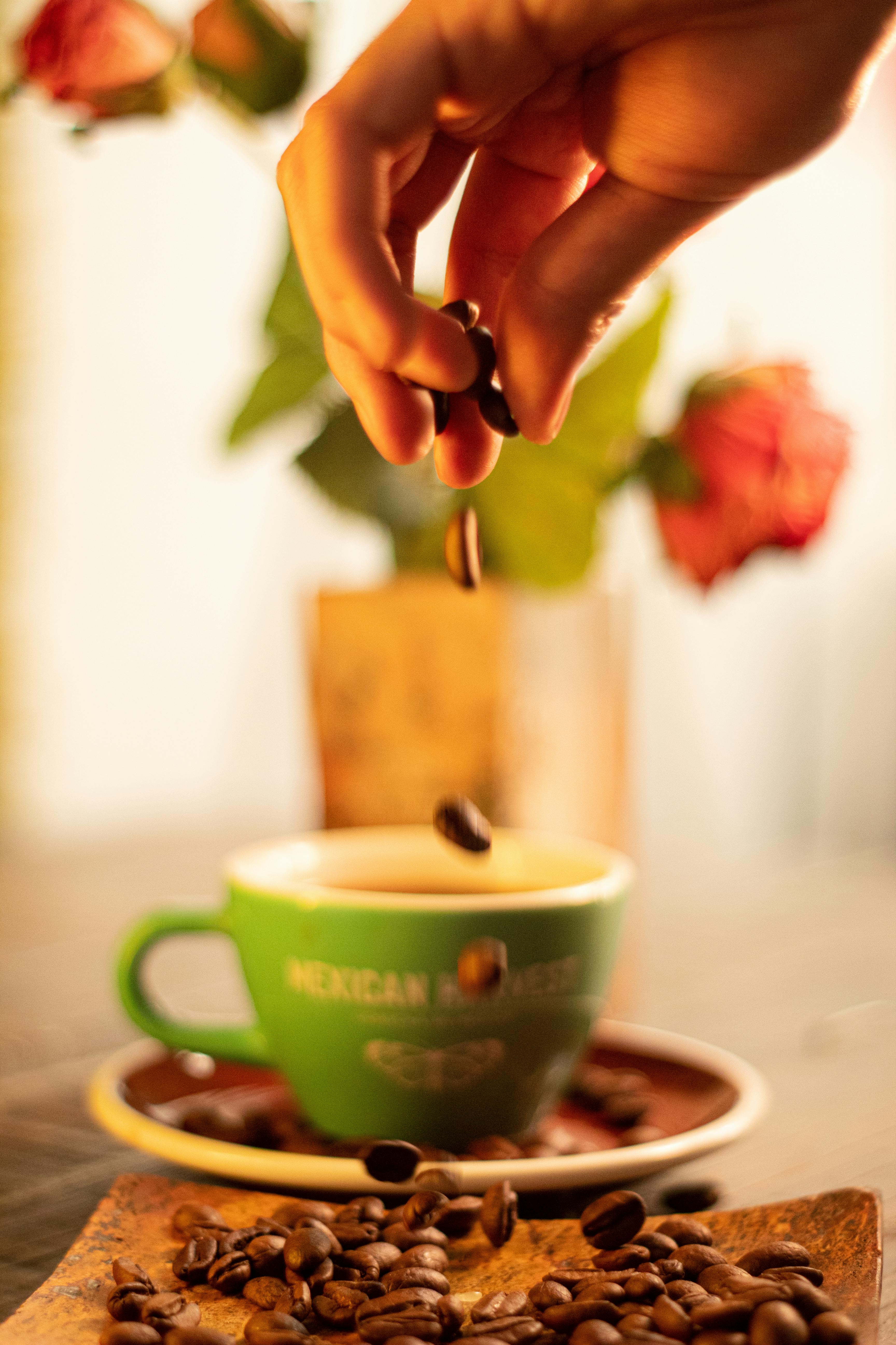 Hand dropping coffee beans into a Mexican-themed cup with roses in background.