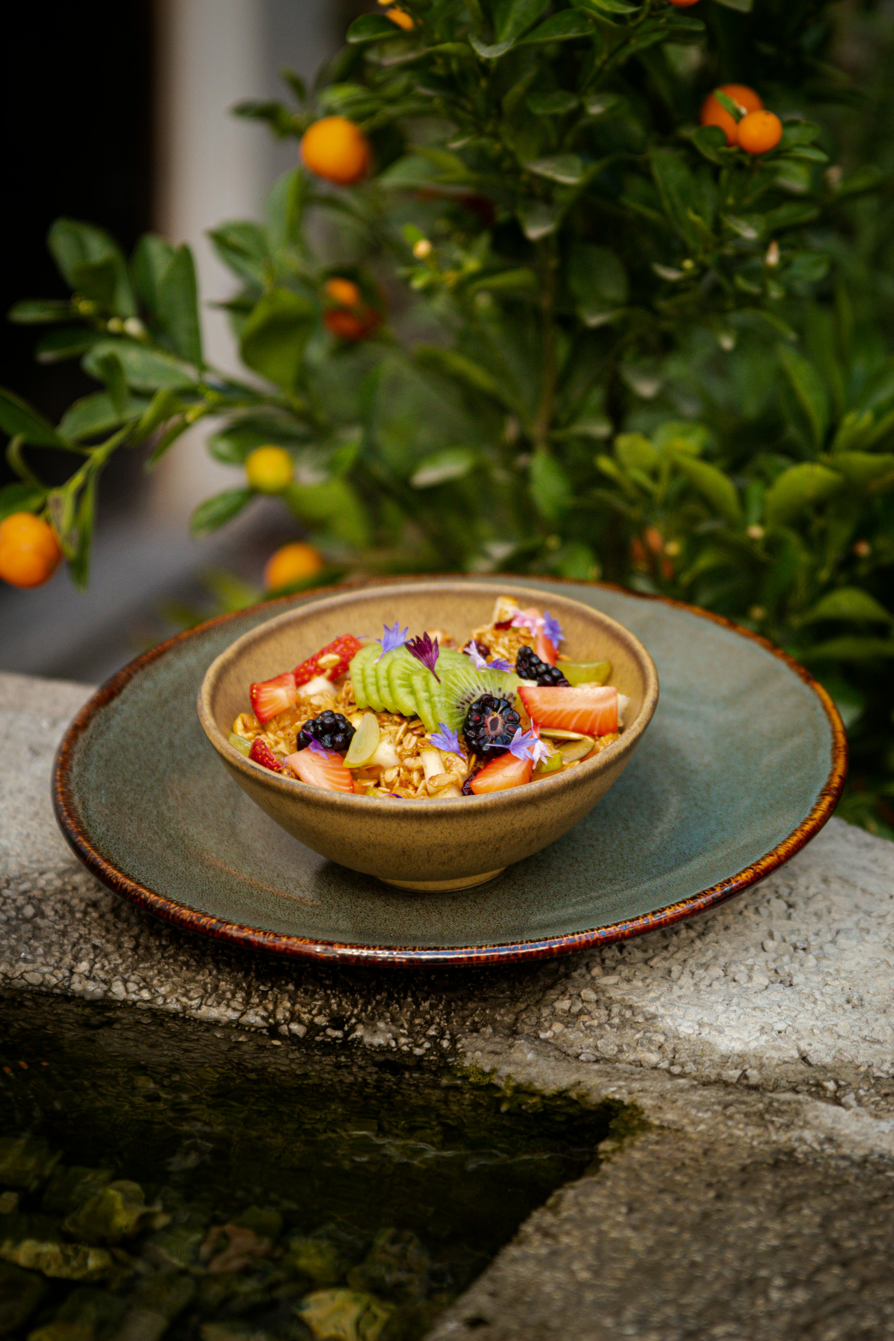 Vibrant fruit salad in ceramic dish with fresh garden backdrop.