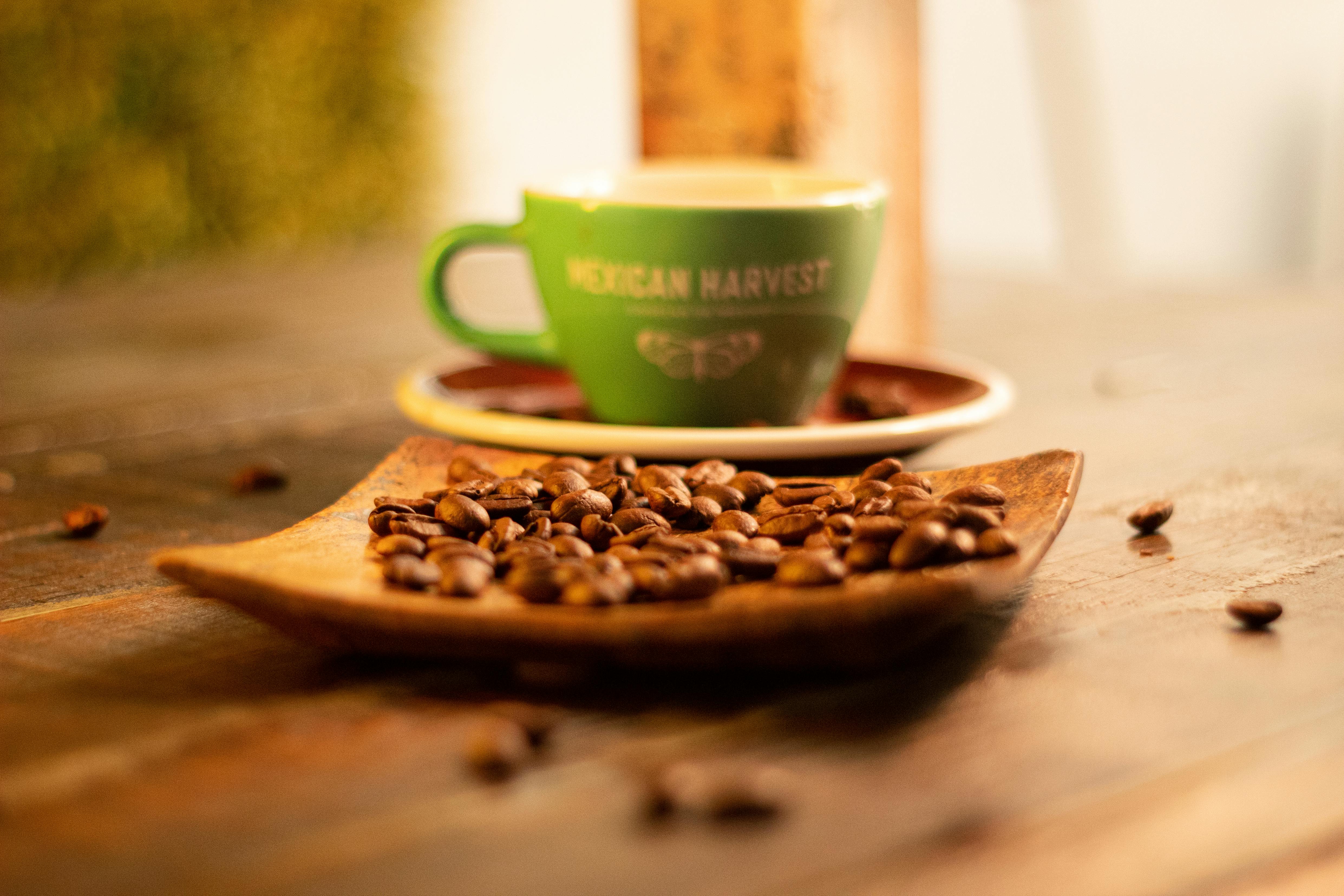 Fresh Roasted Coffee Organic Mexican